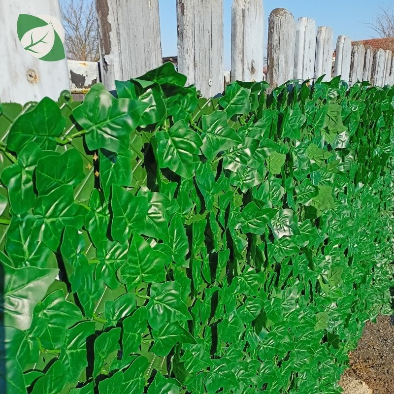 Umjetna ograda DIVY HEDERA PLUS - Slika 2