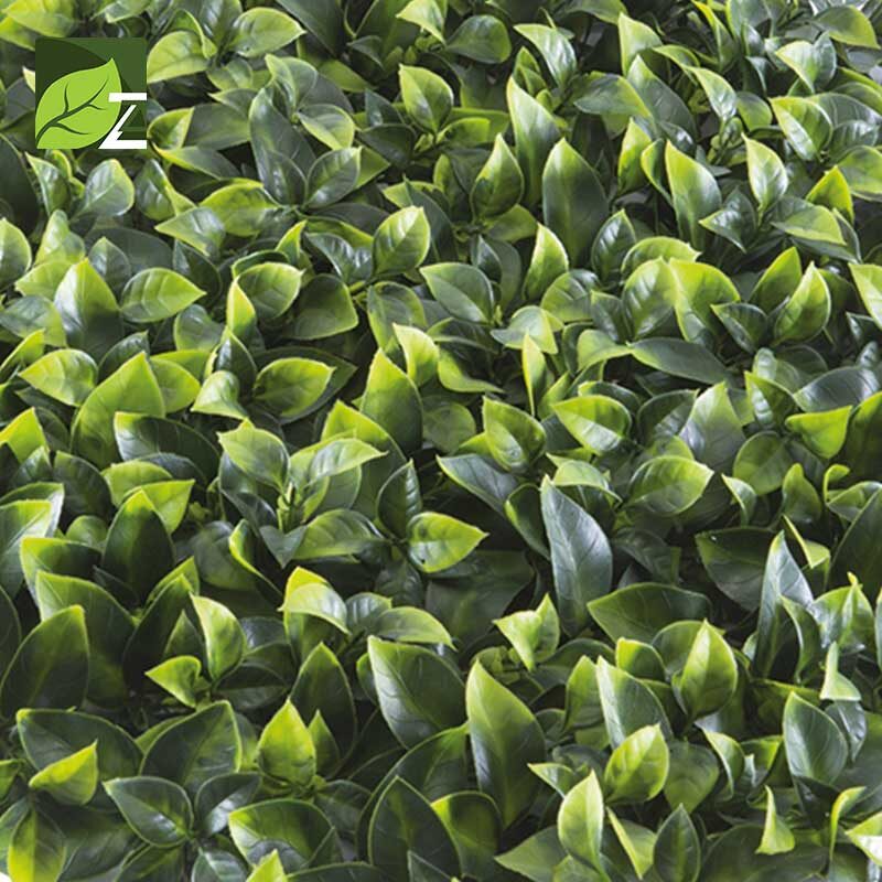 Umjetna ograda DIVY 3D POTHOS