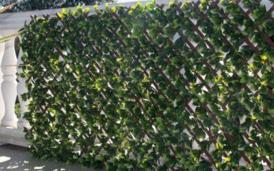Sklopiva ograda DIVY 3D TRELLIS [1m x 2m]