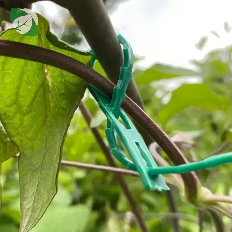 Prilagodljive vezice PLANT TIES - Slika 2