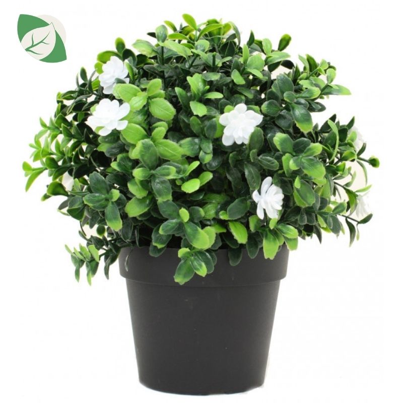 sadnica umjetna buxus