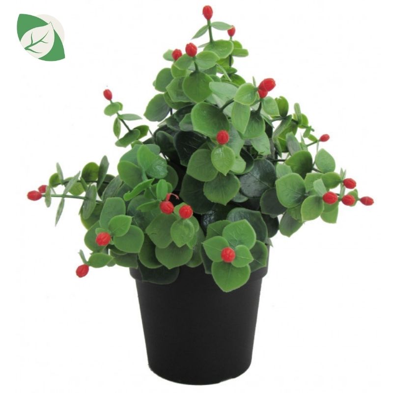 sadnica umjetna gaultheria