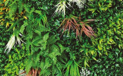 DIVY 3D PANEL Jungle